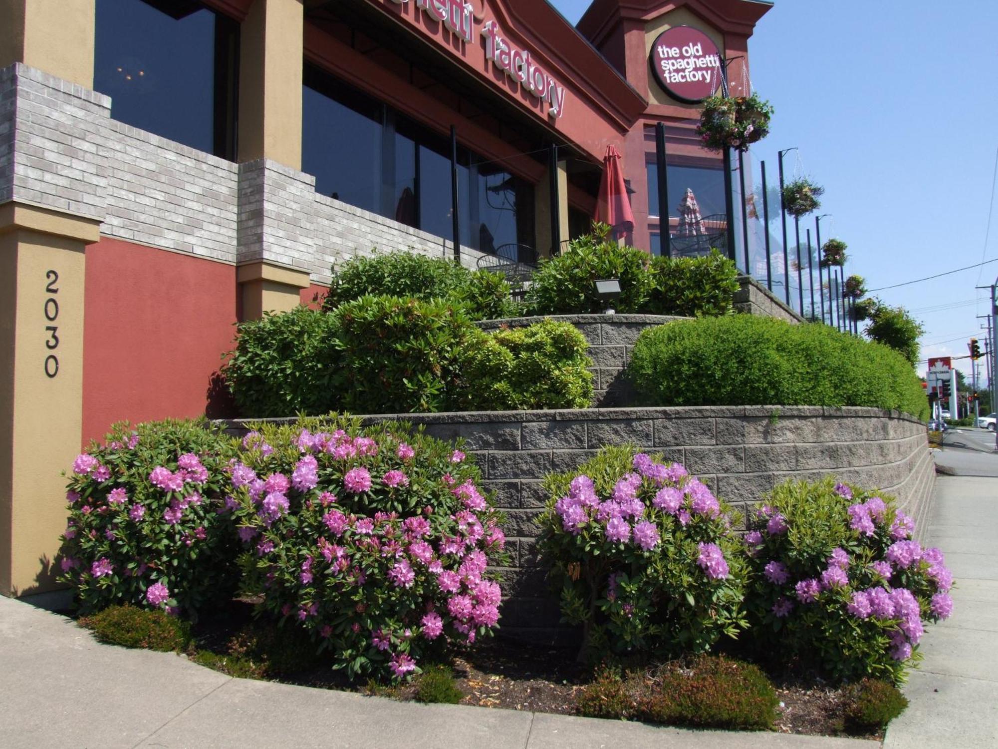 Coast Abbotsford Hotel & Suites Екстериор снимка